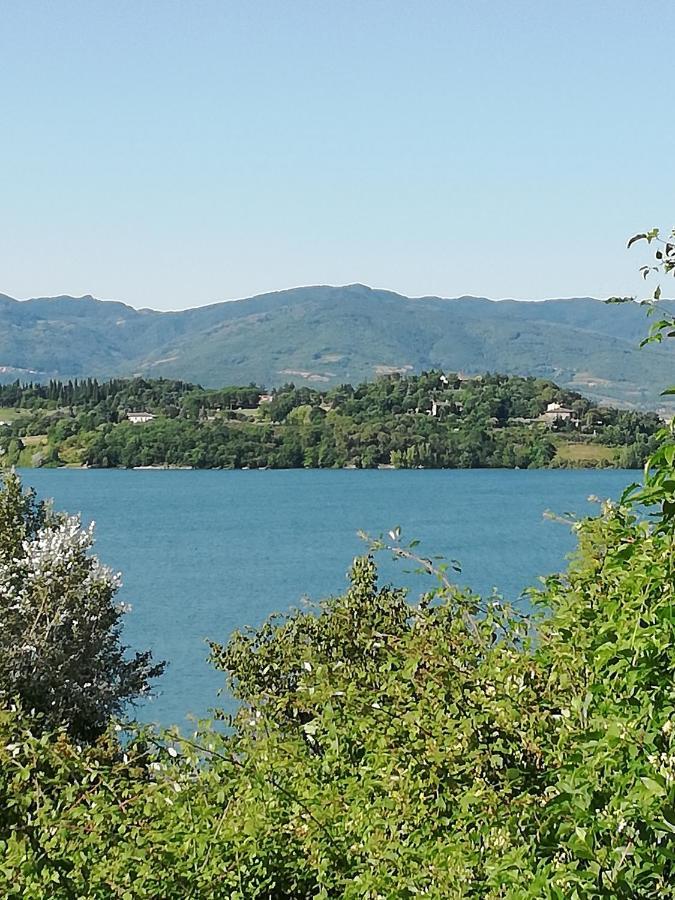 Il Lago Del Mugello B&B 巴贝里诺·迪·穆杰罗 外观 照片