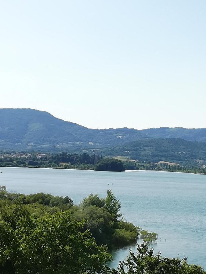 Il Lago Del Mugello B&B 巴贝里诺·迪·穆杰罗 外观 照片